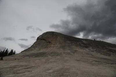 DSC_4440 (Large).JPG